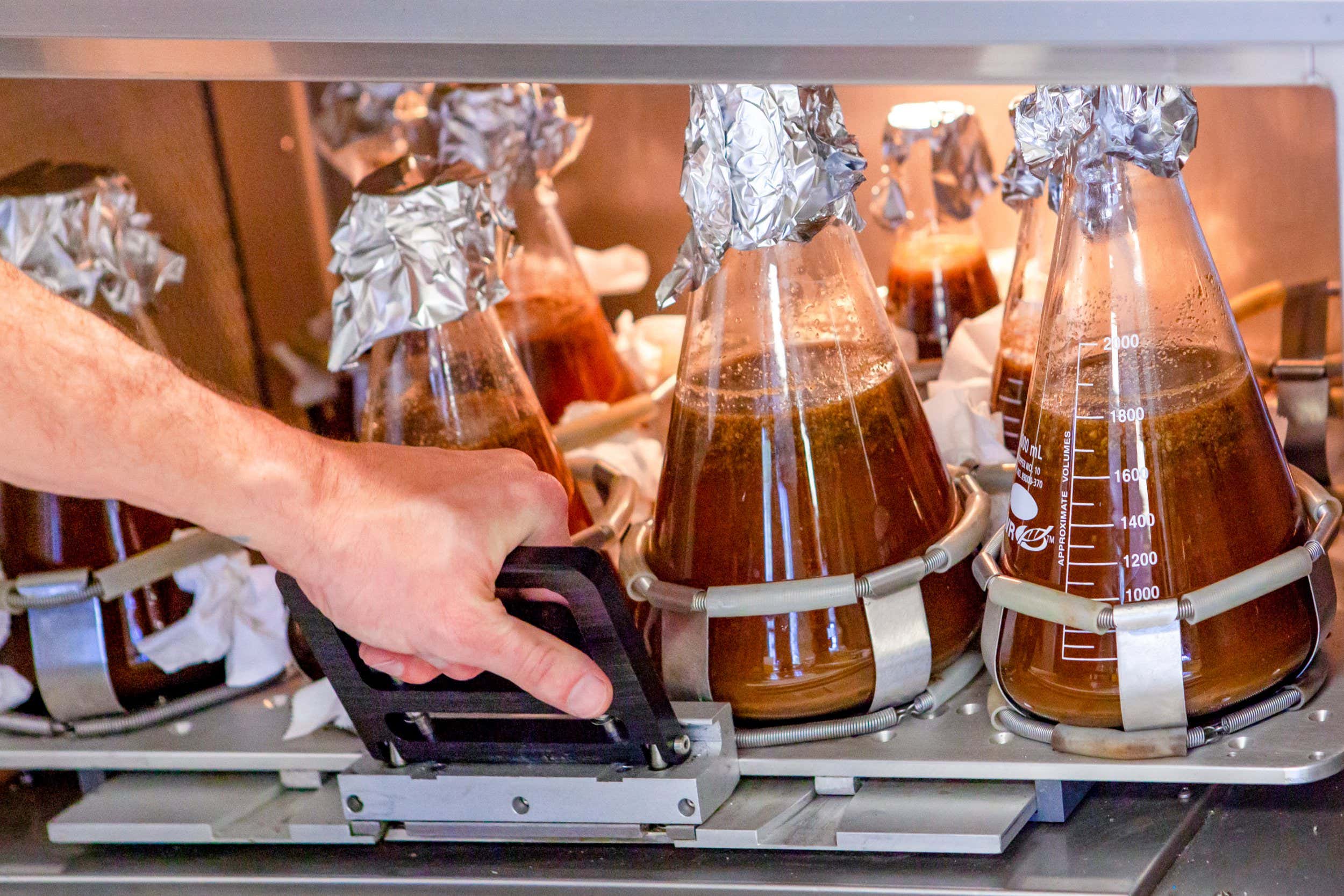 California-Cultured-Cell-Chocolate. Shaker process