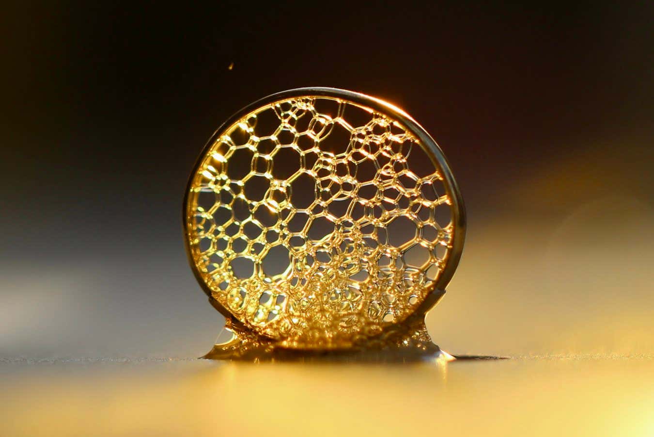 Liquid Gold Anna Curran Department of Mathematics A lattice of bubbles inside a ring that has been dipped in soapy water. The bubbles hold their shape because of molecules in the dish soap called surfactants, which stabilise the interface. Surfactants are all around us - for example, they allow soap to break down dirt and bacteria, and they are given to premature babies to help them inflate their lungs. Conversely, they threaten the efficacy of various industrial applications such as self-cleaning surfaces and laptop cooling systems. My research focuses on mathematically modelling the effect of these molecules at a f luid interface, in order to gain a greater understanding of how to control their behaviour in these applications.