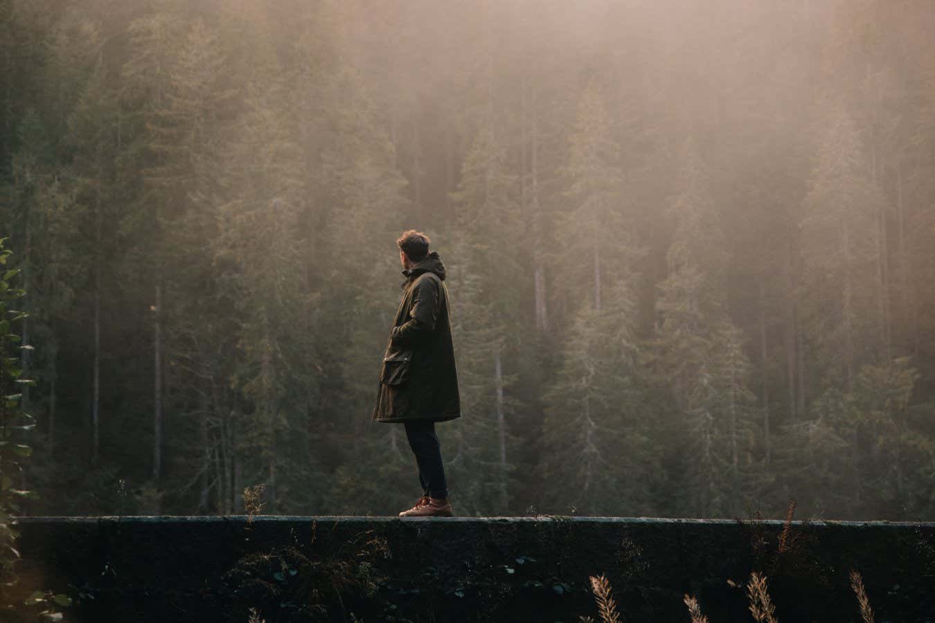 A Person Standing In A Foggy Rainforest BY Daniel Ernst Image ID: #14980