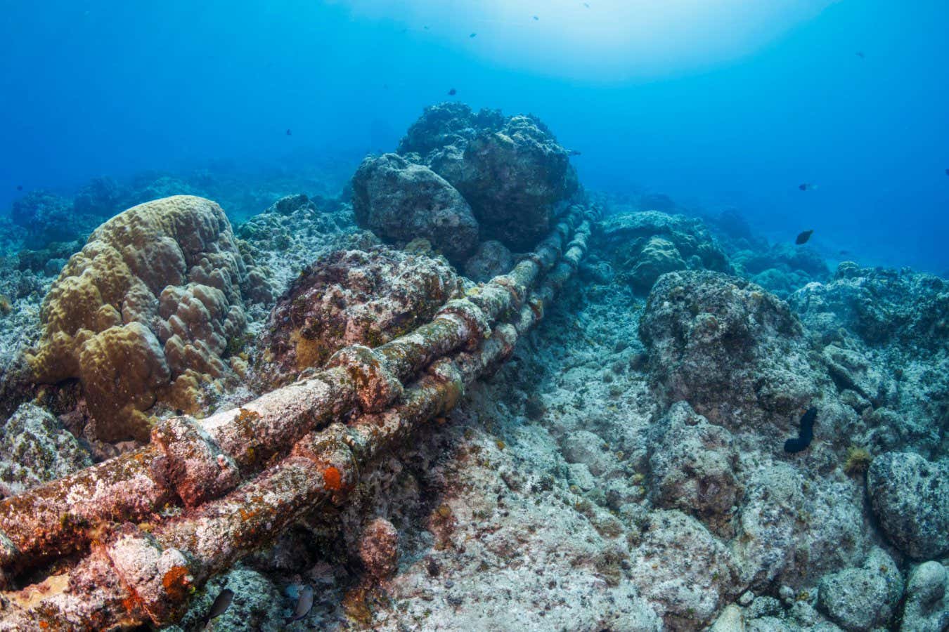2Y74H8B TransPacific undersea communication cables on the ocean floor off the island of Guam, Micronesia.