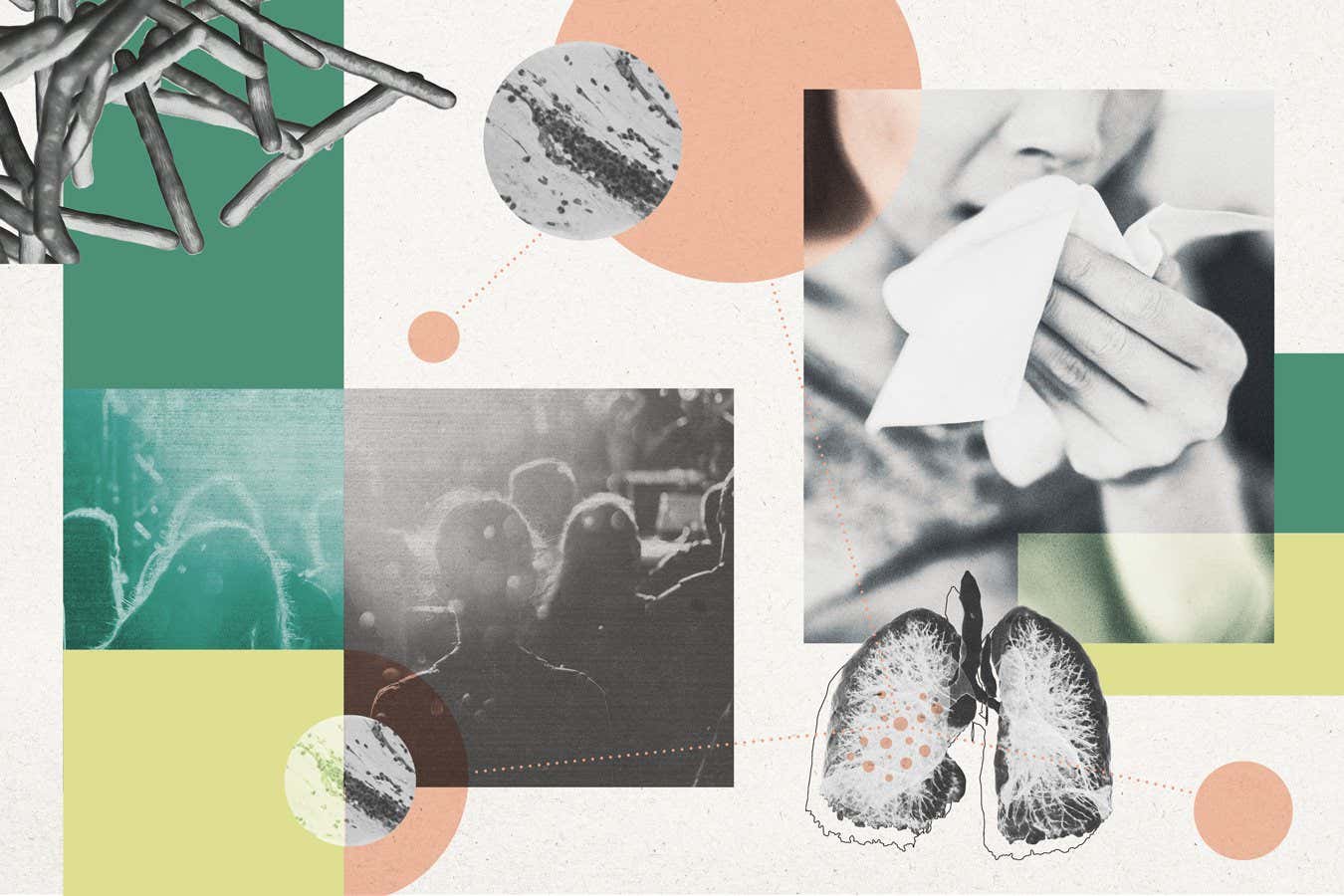 TB's extraordinary evolution reveals why the ancient disease lives on