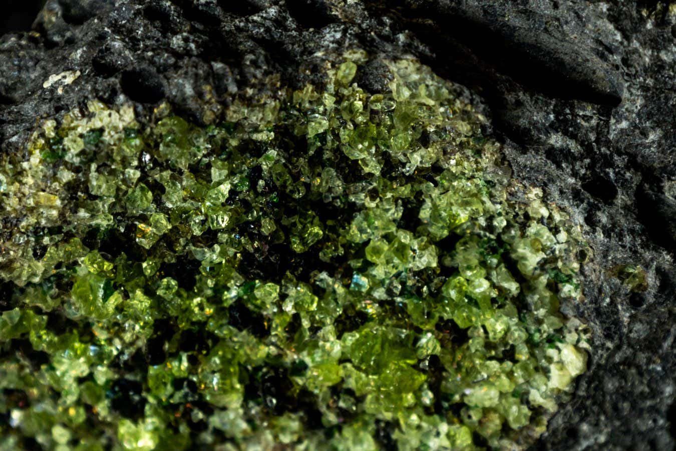 peridot crystals with a few dark olivine crystal