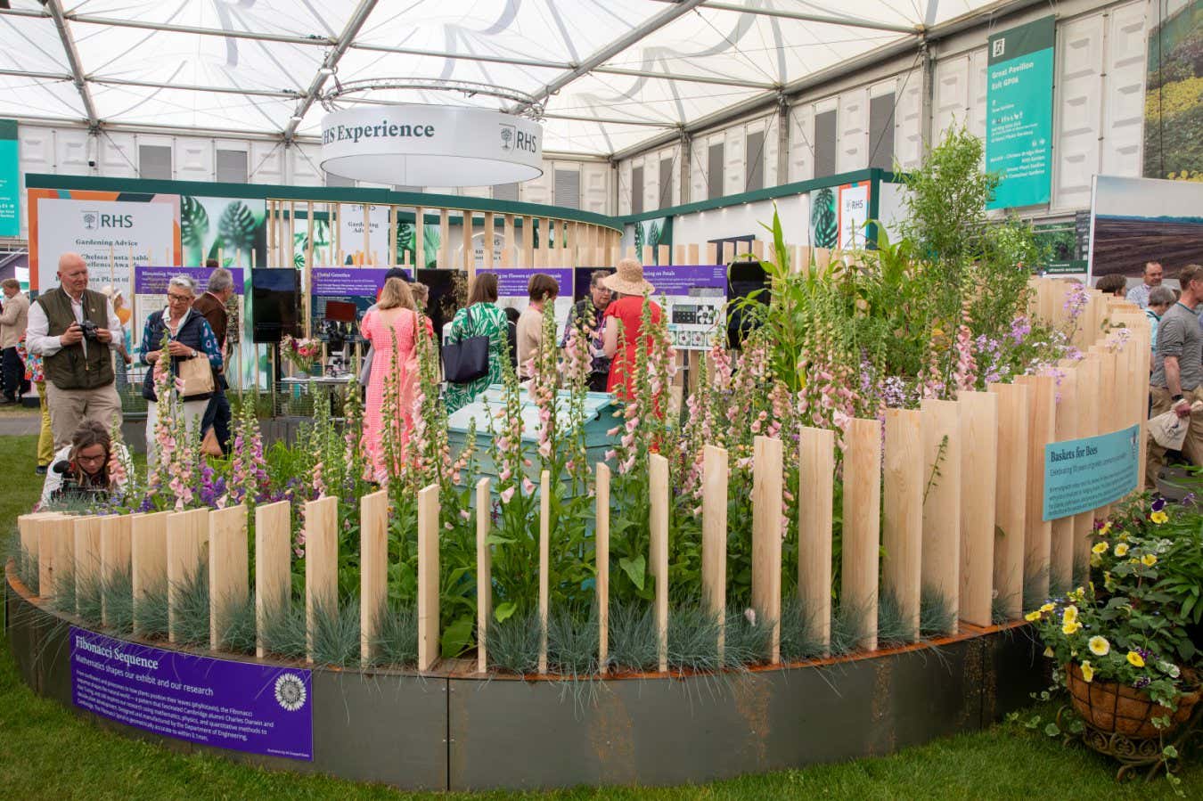 GreenSTEM. Sainsbury Lab Cambridge University display at Chelsea Flower Show 2025. Credit J.Garget